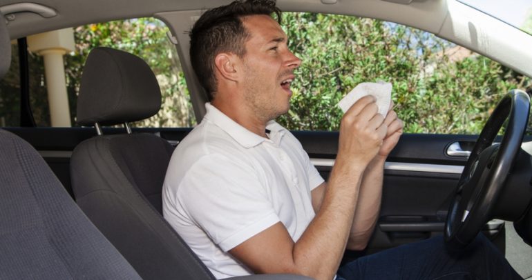 نصائح لتفادي حساسية وأمراض الصيف أثناء القيادة